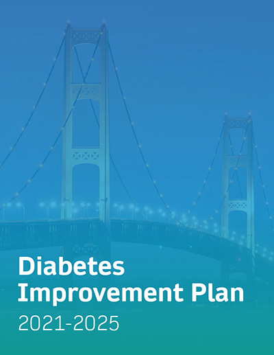 michigan diabetes improvement plan